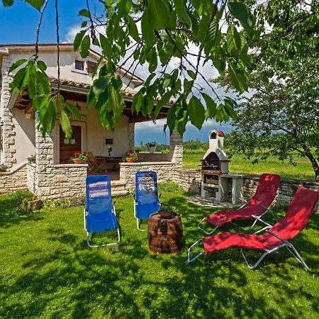 Galant In Prkačini